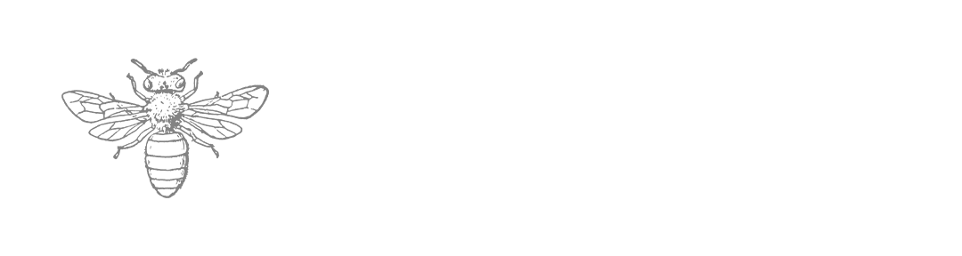 Beeleev – Medienagentur